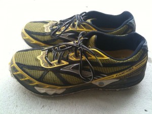 Brooks Cascadia 3